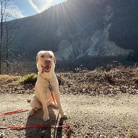 Achentaler Auszeit Appartement *