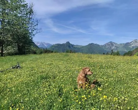 דירה Achentaler Auszeit