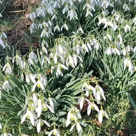 Achentaler Auszeit דירה